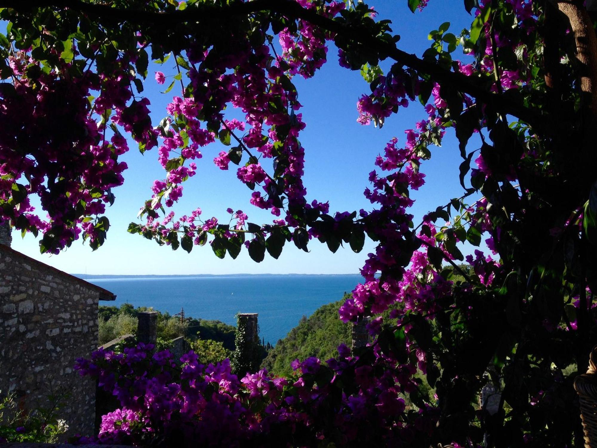 Antica Limonaia View And Pool Apartment *